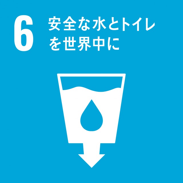 goal-06