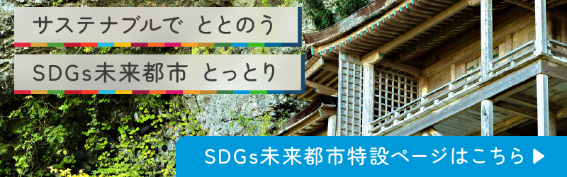 SDGs未来都市特設ページはこちら